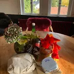 Nibelungen Odenwaldhaus