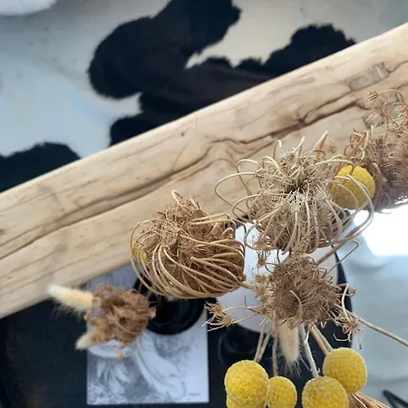 度假居 Nibelungen Odenwaldhaus *