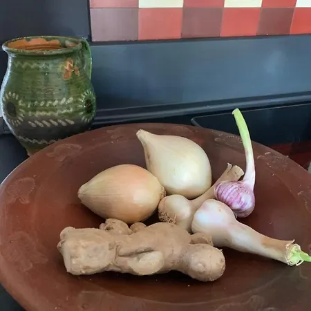 度假居 Nibelungen Odenwaldhaus Mossautal