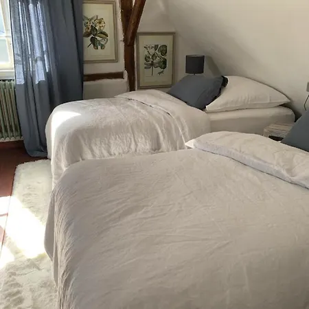 Nibelungen Odenwaldhaus 度假居 *