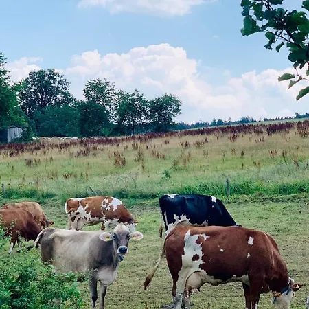 Nibelungen Odenwaldhaus 度假居