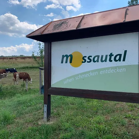 Nibelungen Odenwaldhaus 度假居