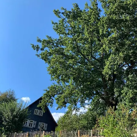 Nibelungen Odenwaldhaus *