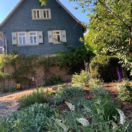Ferienhaus Nibelungen Premium