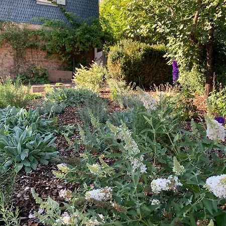 Nibelungen Odenwaldhaus 度假居 Mossautal