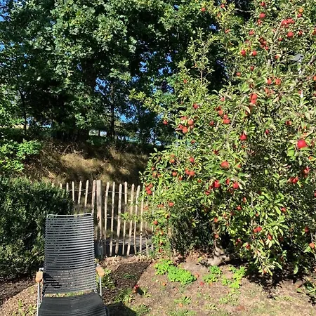 Nibelungen Odenwaldhaus *