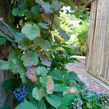 Nibelungen Odenwaldhaus Mossautal