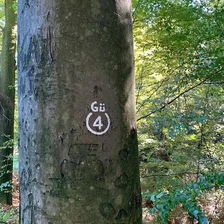 Nibelungen Odenwaldhaus *
