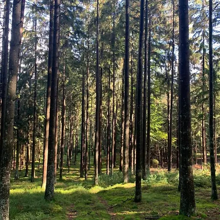 Nibelungen Odenwaldhaus