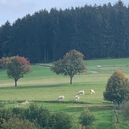 度假居 Nibelungen Odenwaldhaus