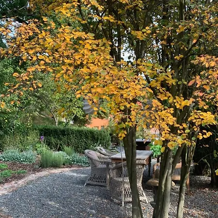 Nibelungen Odenwaldhaus Mossautal