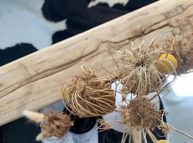 Casa vacanze Nibelungen Odenwaldhaus *