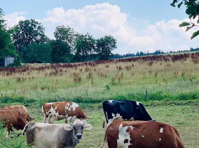 Nibelungen Odenwaldhaus Casa vacanze