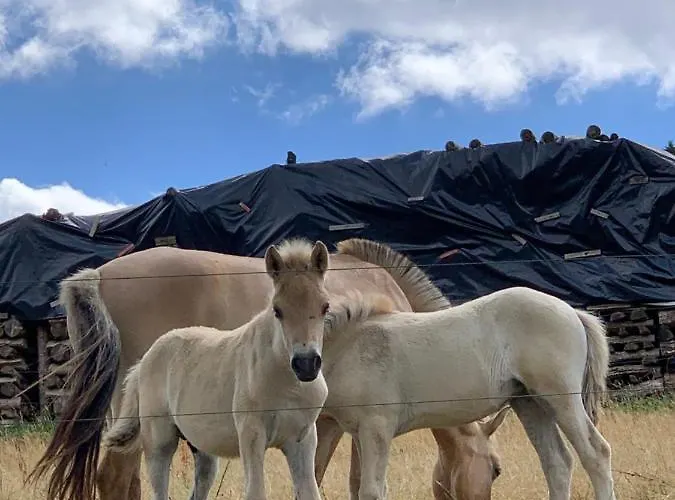 Nibelungen Odenwaldhaus * Mossautal