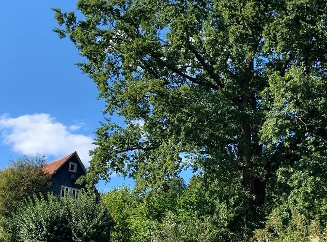 Nibelungen Odenwaldhaus Mossautal