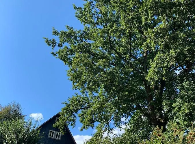 Nibelungen Odenwaldhaus *