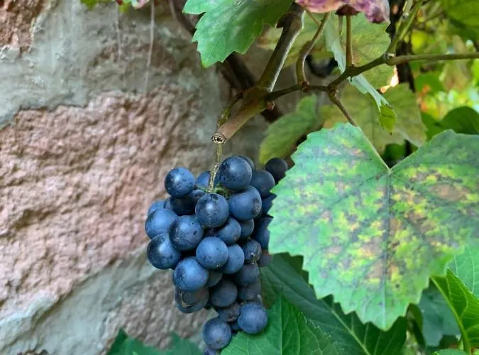 Casa vacanze Nibelungen Odenwaldhaus *