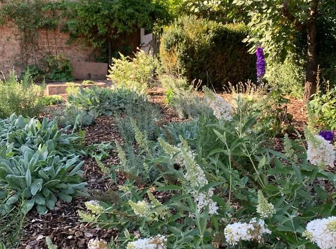 Nibelungen Odenwaldhaus Casa vacanze Mossautal