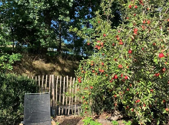 Nibelungen Odenwaldhaus *