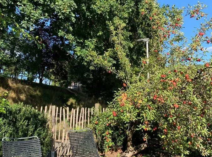 Nibelungen Odenwaldhaus * Mossautal