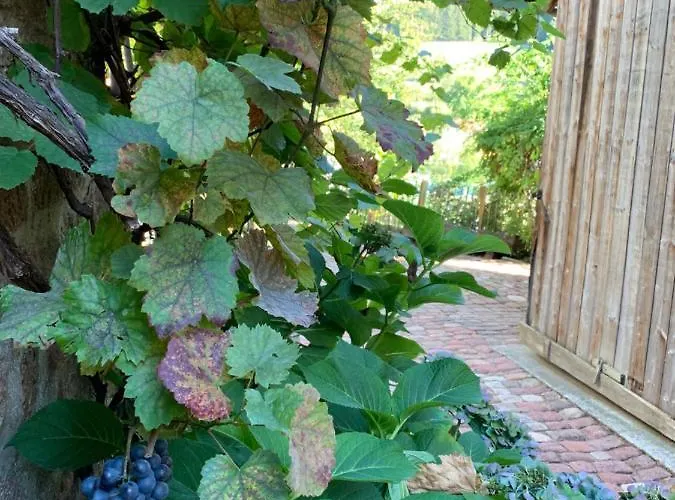 Nibelungen Odenwaldhaus Mossautal