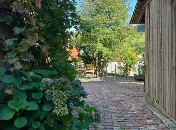 Nibelungen Odenwaldhaus