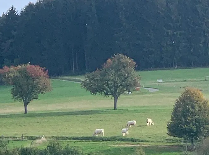 Сasa de vacaciones Nibelungen Odenwaldhaus