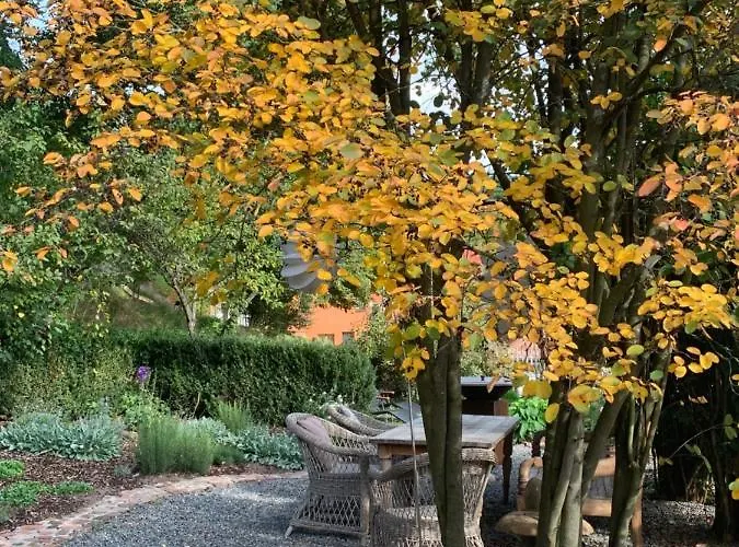 Nibelungen Odenwaldhaus Mossautal