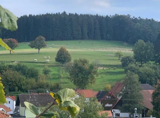 Nibelungen Odenwaldhaus Casa vacanze